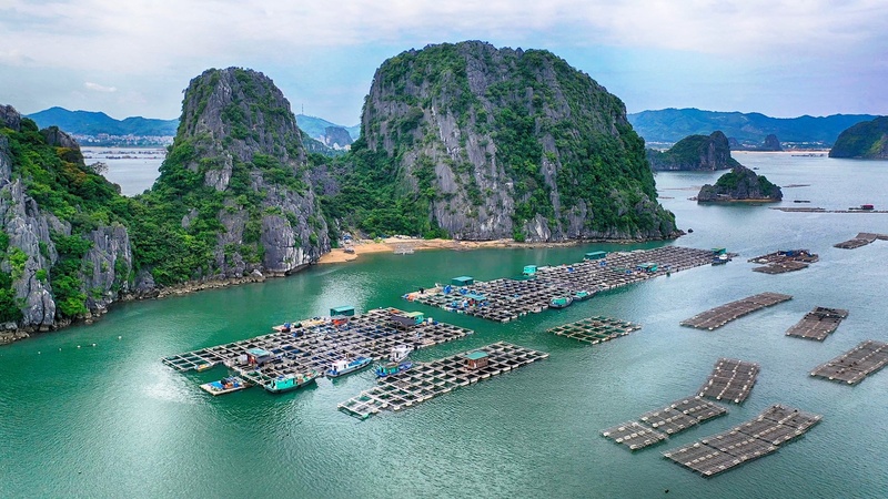 Bai Tu Long Bay